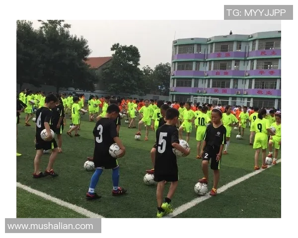 定陶区足球发展新篇章青少年培训与社区联动共筑足球梦想