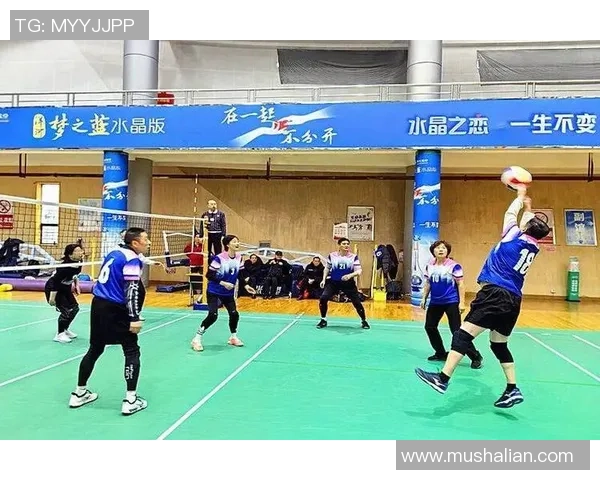 南京排球队的精神探源与竞技魅力全景揭秘